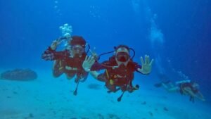 Phi Phi 7
